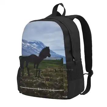 Исландский Конь, Любующийся Своим Летним Полем, Лидер продаж, Модные сумки-рюкзаки Исландский Конь, Черная красавица, Черная Лошадь